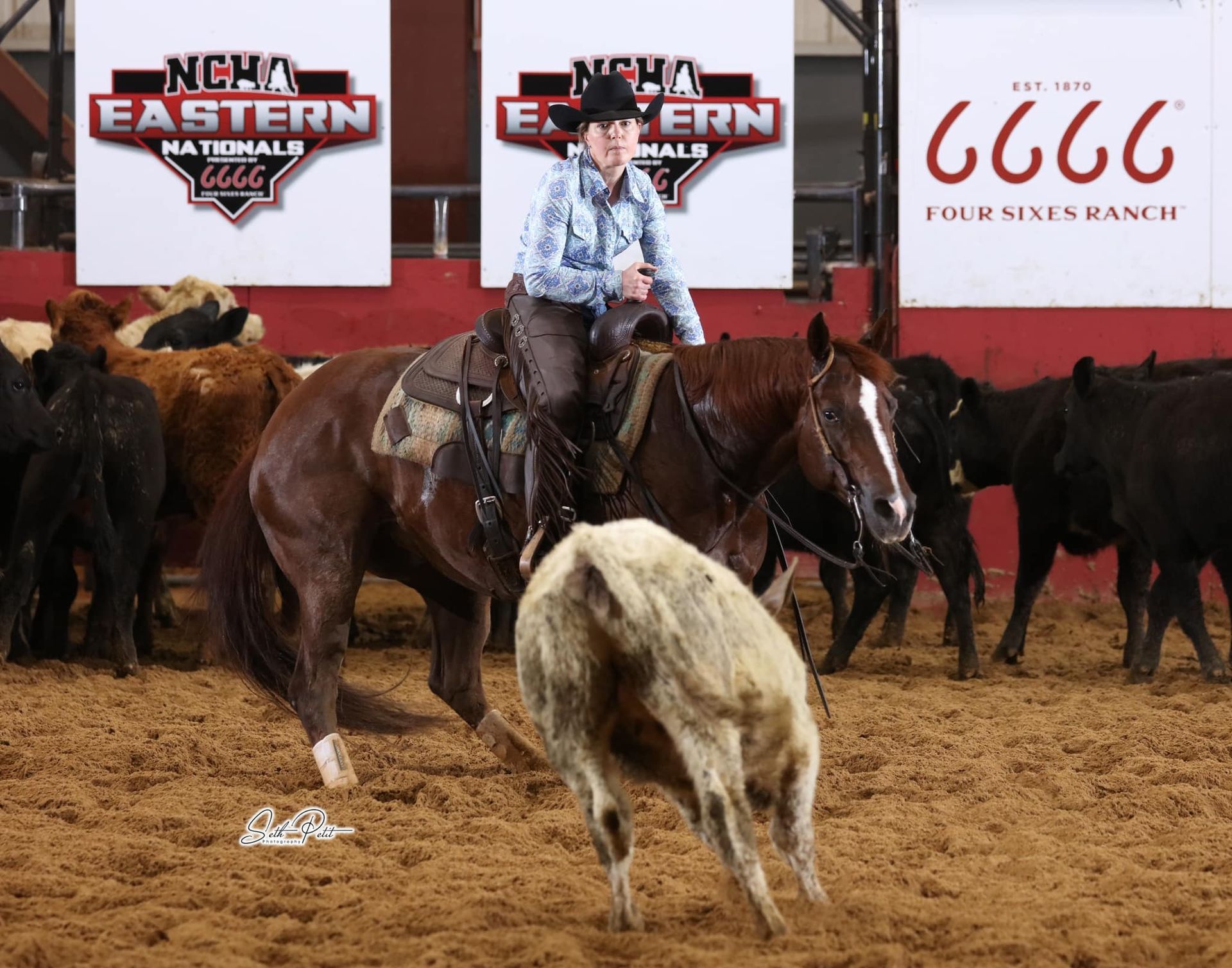 Diamond C Farm Carolena Rose