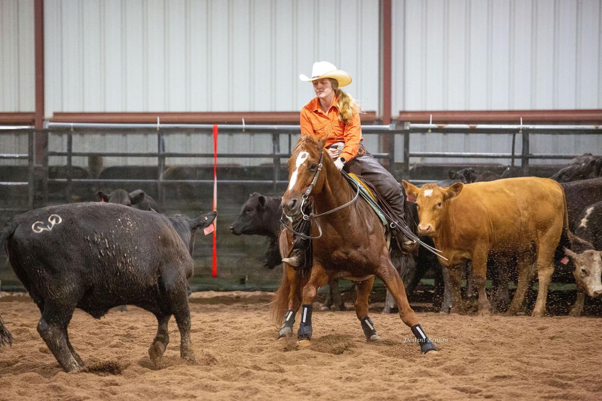 diamond c farm 15k amateur