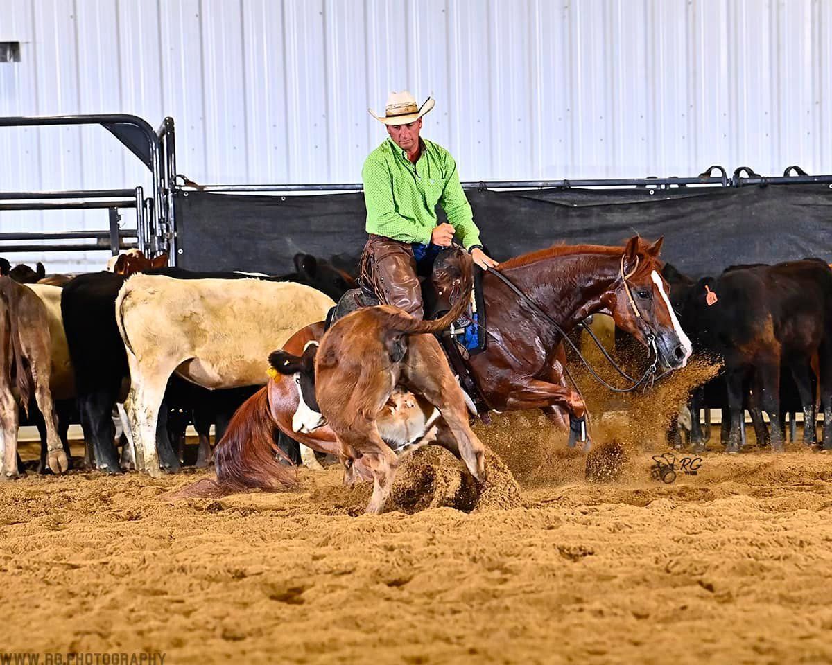 diamond c farm 25k novice