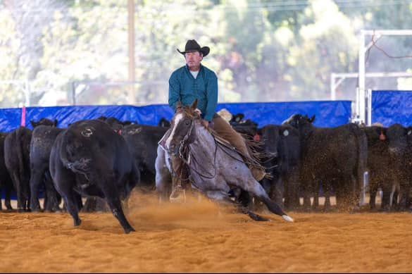 diamond c farm non pro 