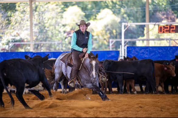 diamond c farm unlimited amateur