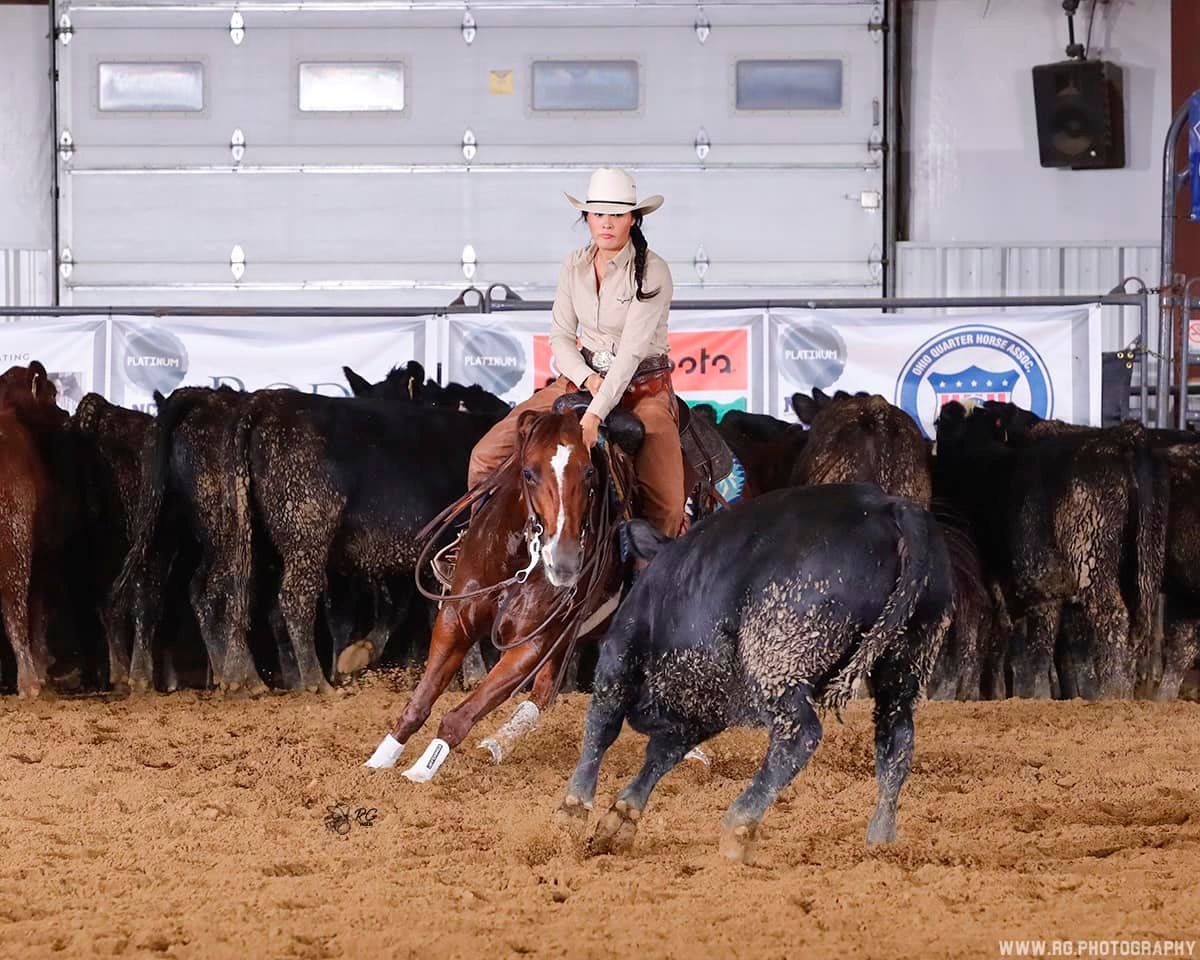 diamond c farm circuit youth champ