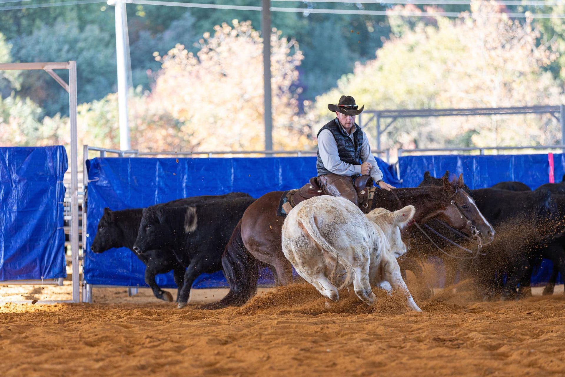 Diamond C Farm George Streyt