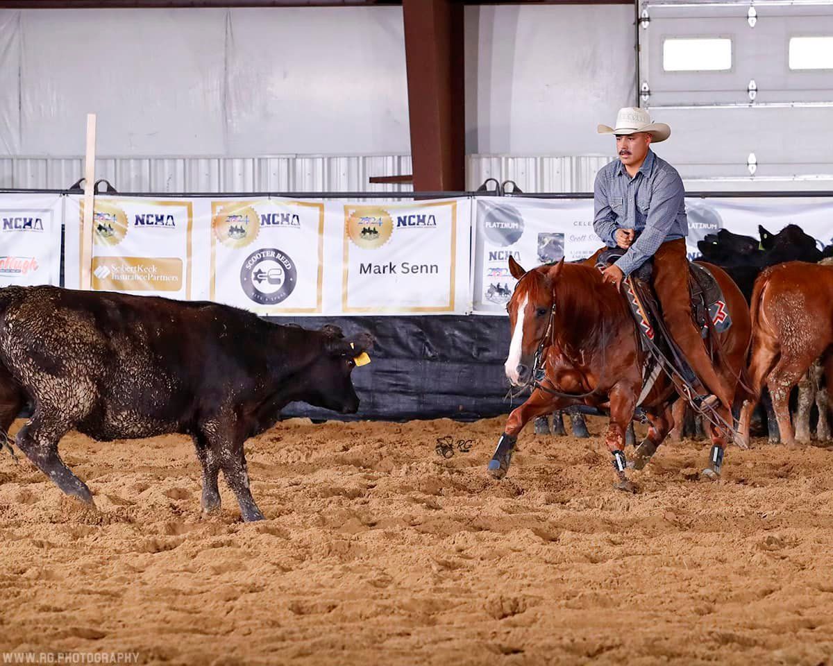 Diamond C Farm Keogh