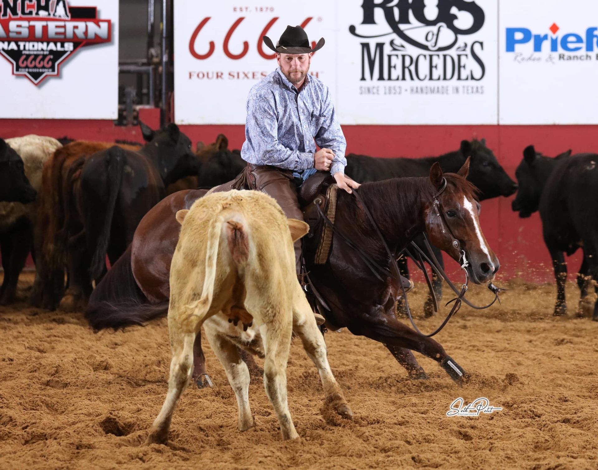 Diamond C Farm I Love George Streyt