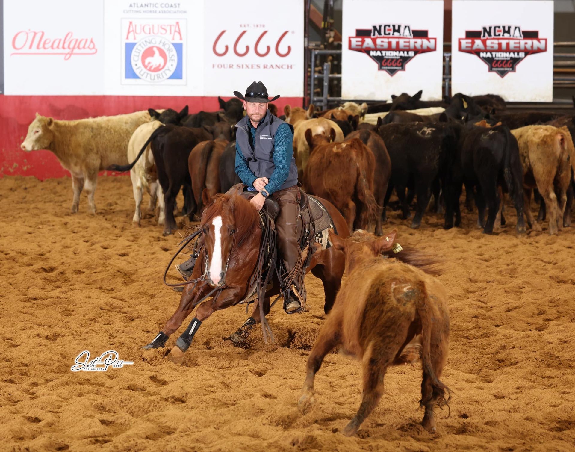 Diamond C Farm Carolena Rose