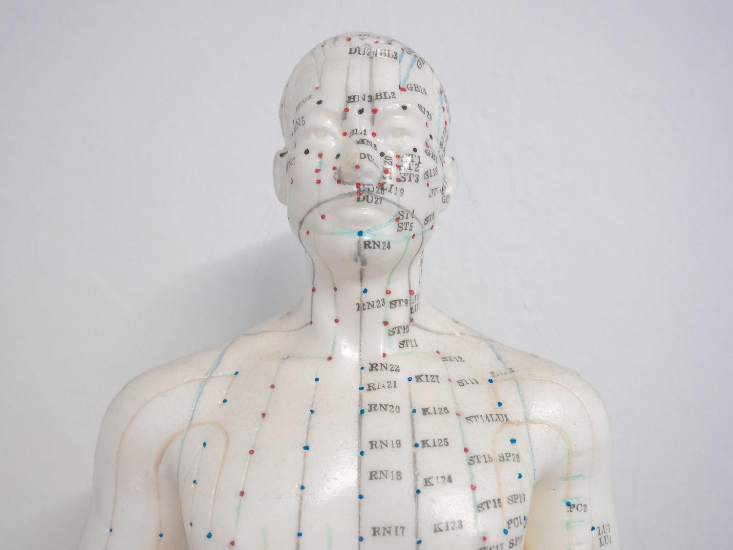 A close up of a mannequin with acupuncture points on it.