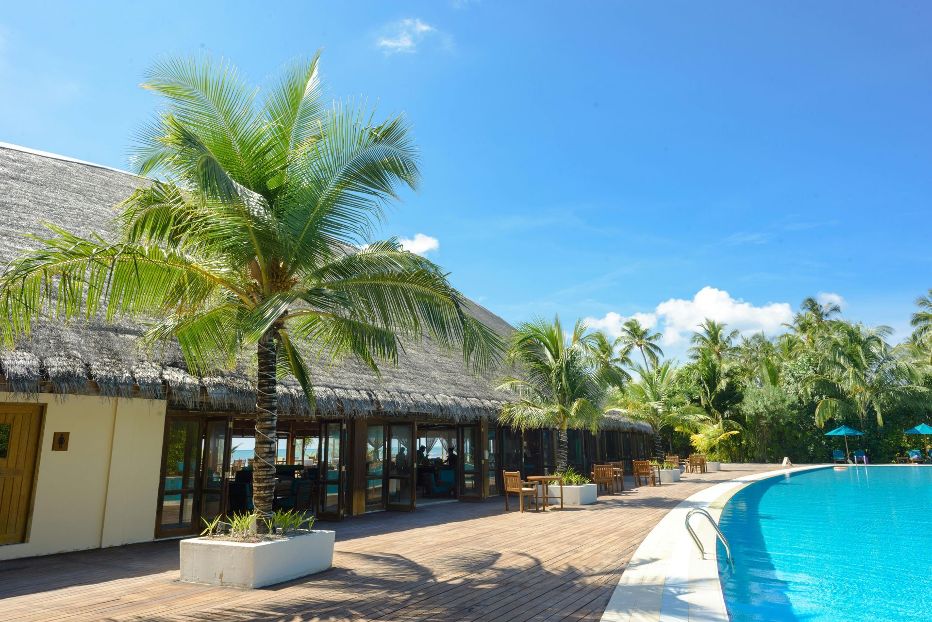Tropical restaurant with a thatched roof next to a blue pool and palm trees under a bright blue sky.