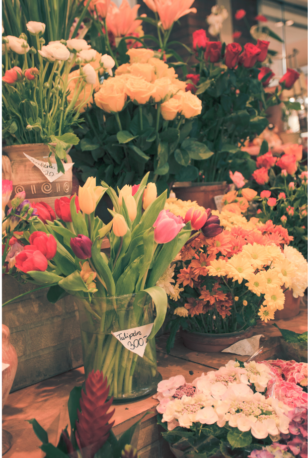 Multiflora Flower Market Johannesburg 2000 Best Flower Site