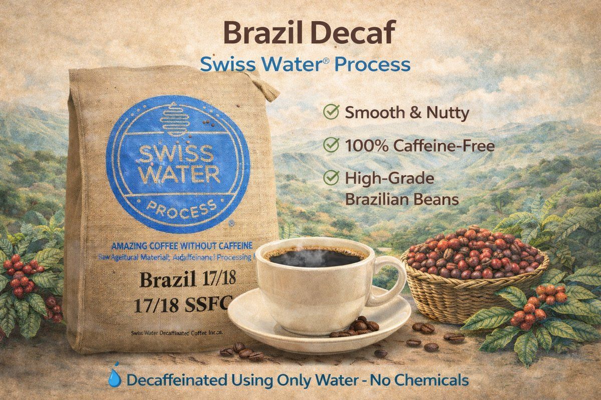 Decaf Brazil Swiss Water Process