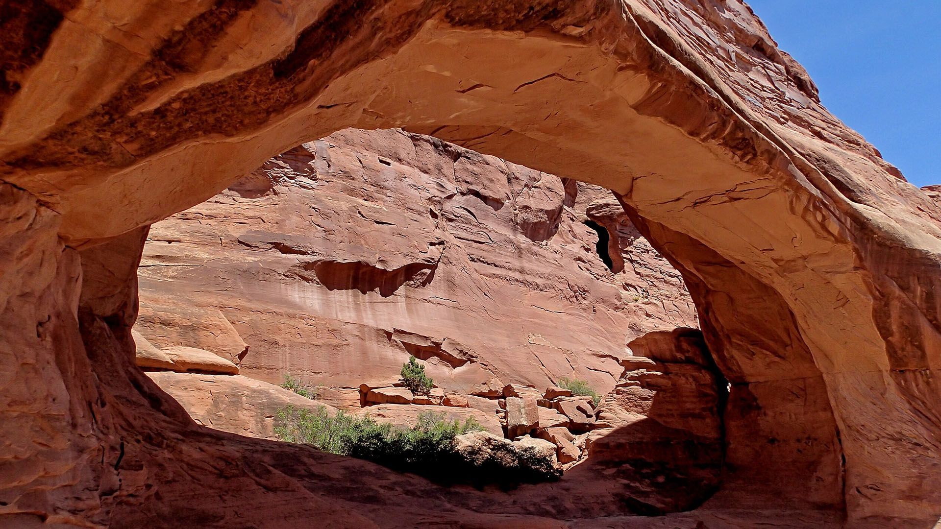 Tower Arch is a more massive arch structure than most, tucked away in the park's western Klondike Bluffs.