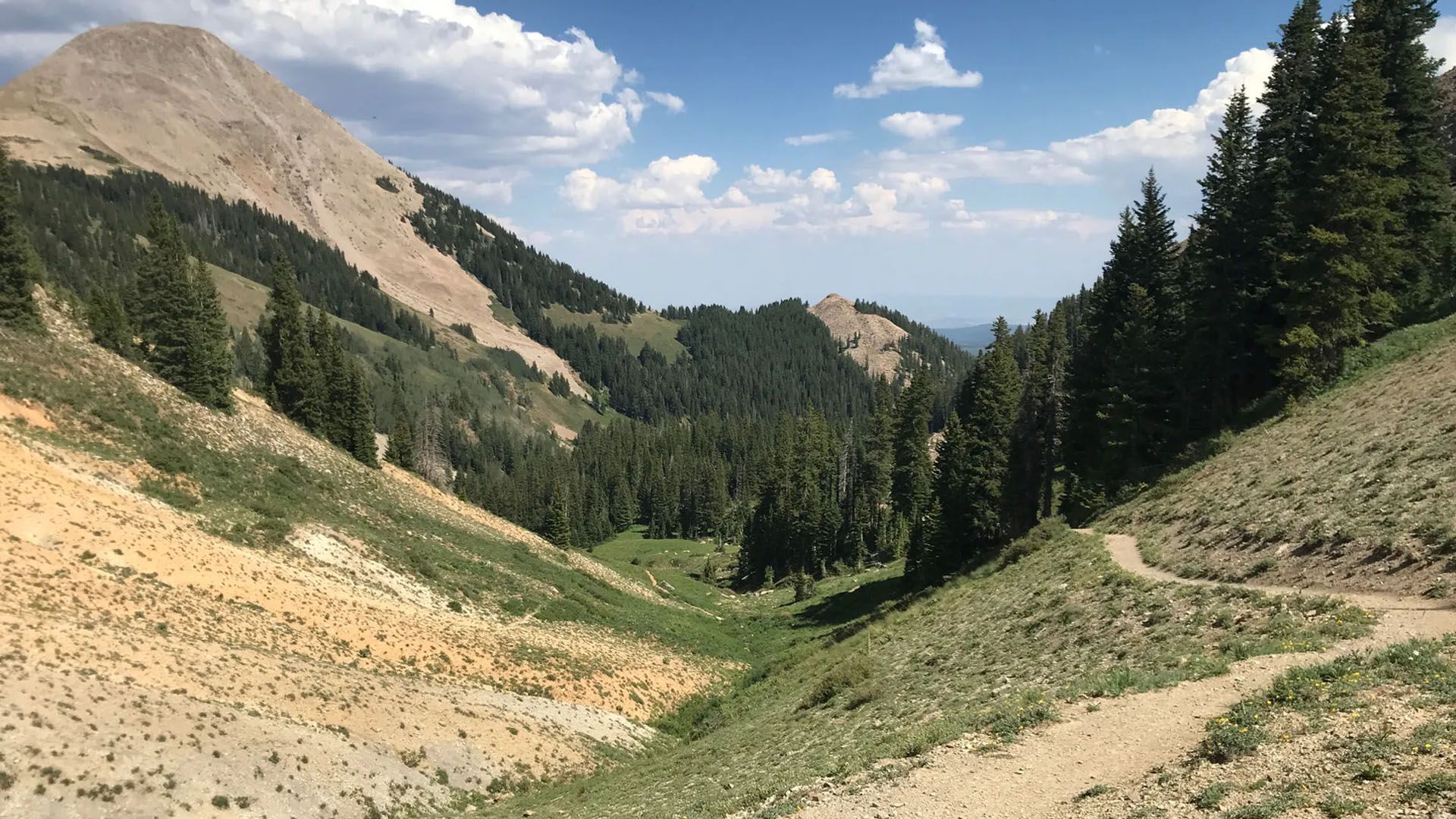 A dirt road to Geyser Pass winds high into the mountains surrounded by pine trees.
