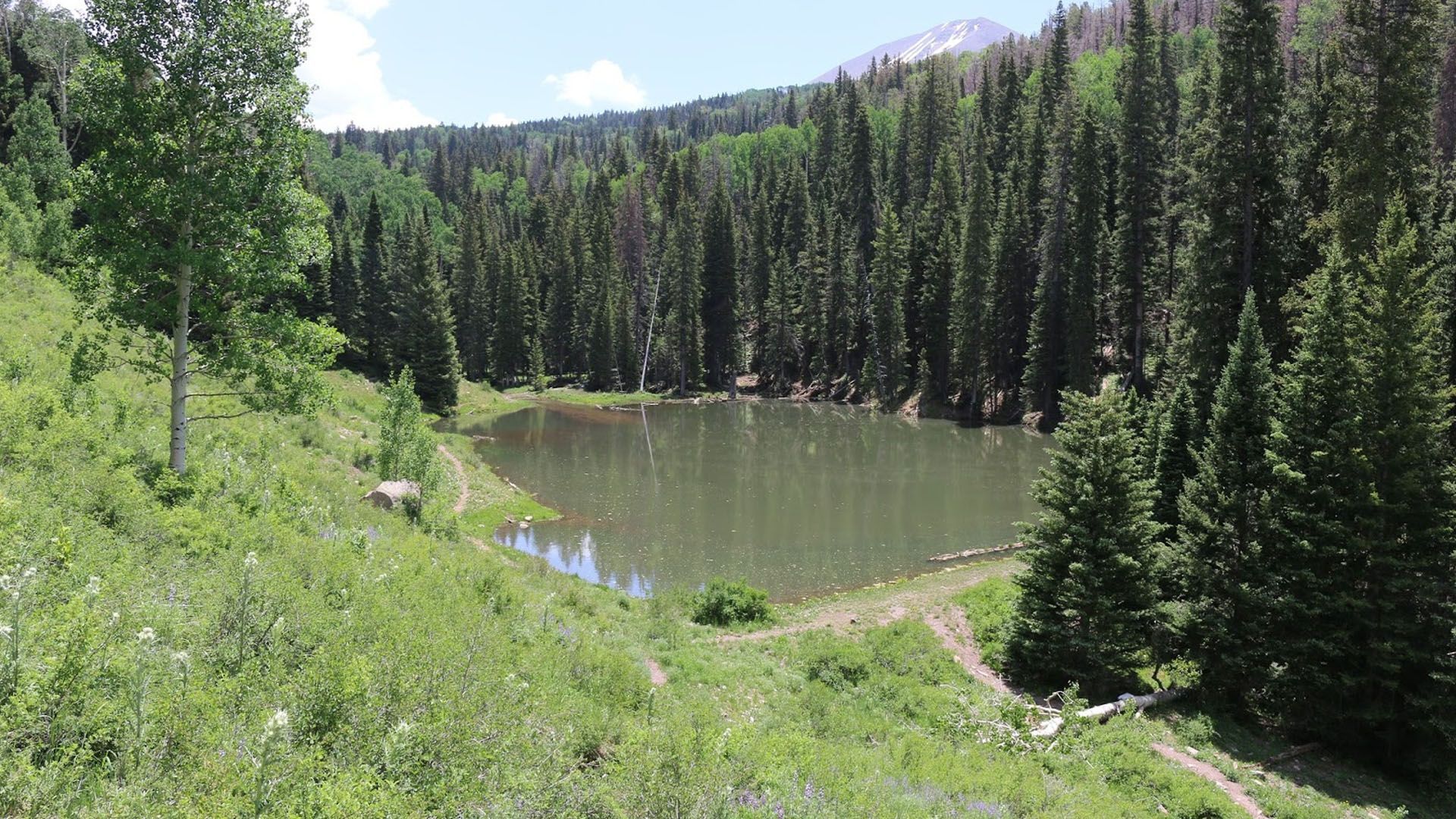 Lush green forest surrounds a still, gray lake; mountain peak visible in the distance.