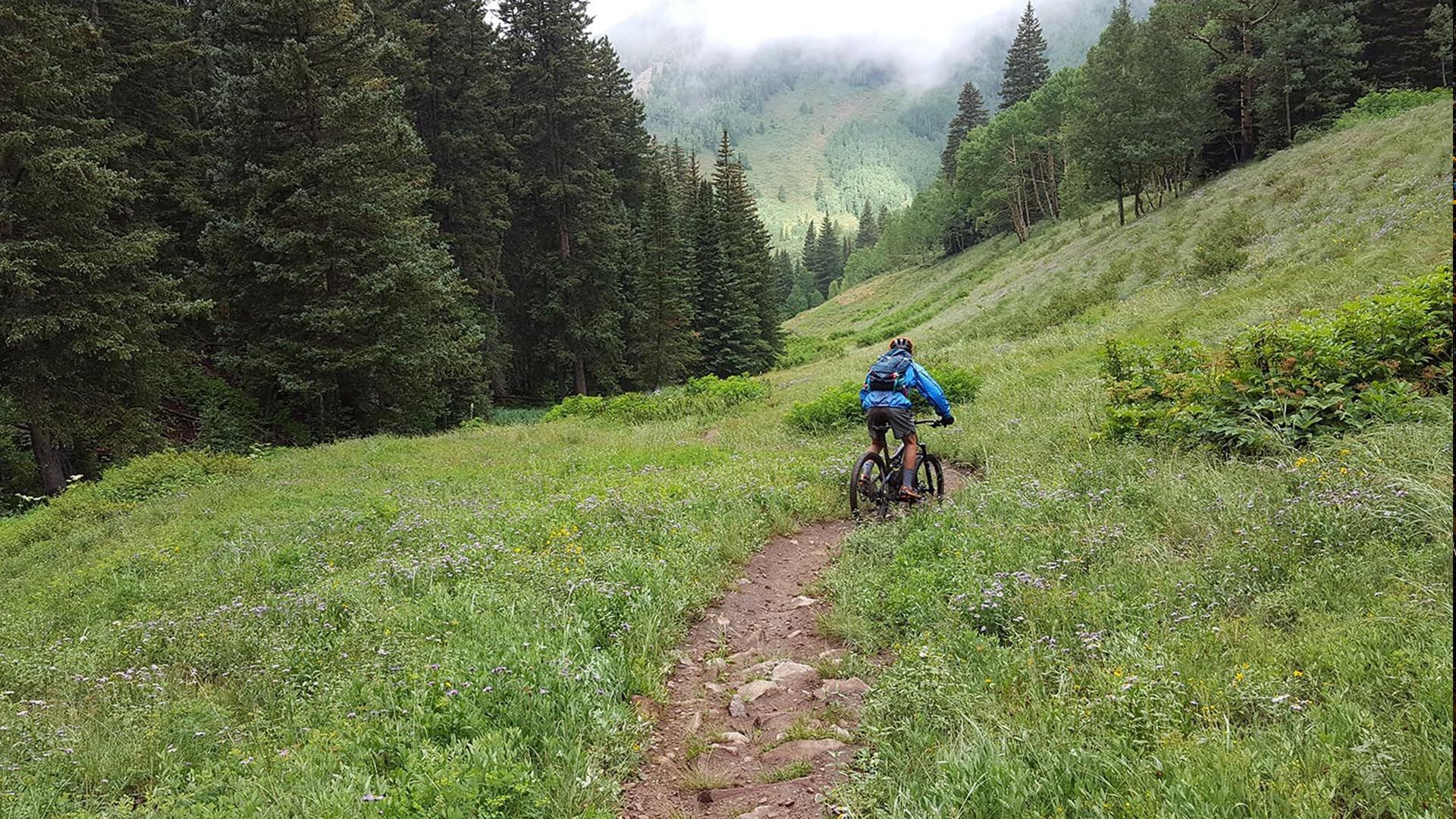 Mountain biker rides a muddy trail through a lush green alpine meadow, trees on either side, overcast sky.