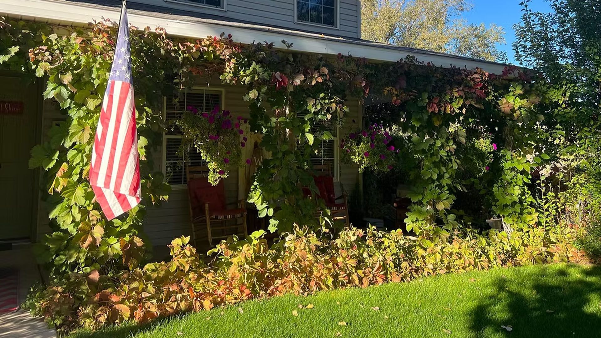 A house with a porch covered in vines, American flag, rocking chairs, and hanging baskets.