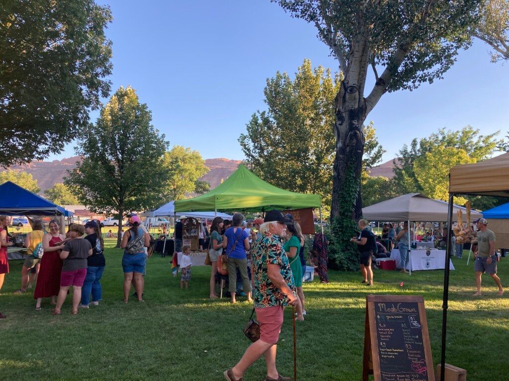 Outdoor craft fair in a park; people browsing stalls under tents, sunny sky and mountains in the background.