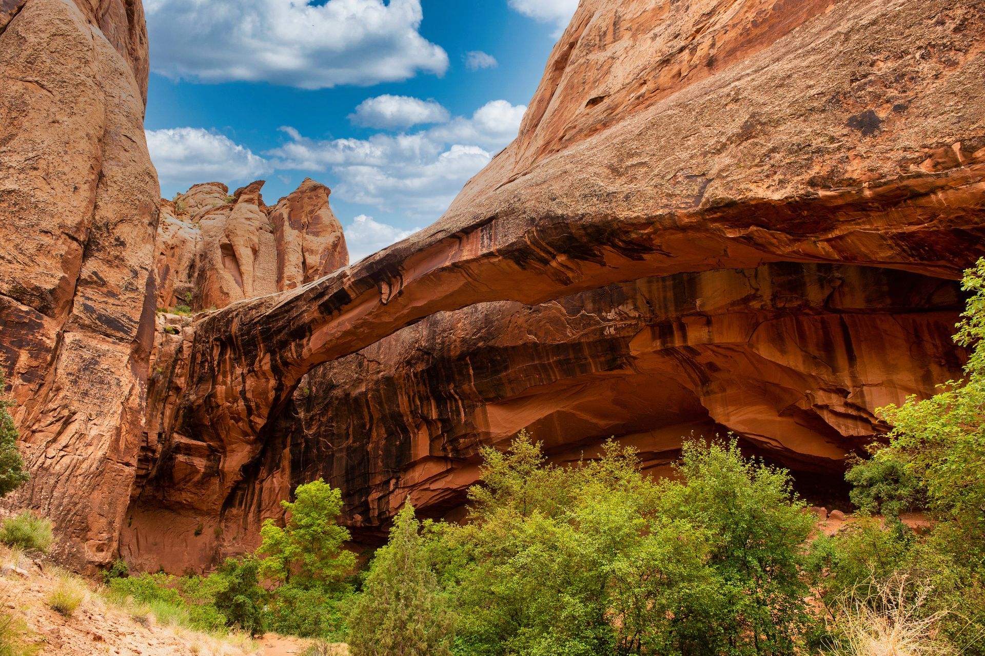 Red rock canyon with arched overhang, lush green bushes, and blue sky.