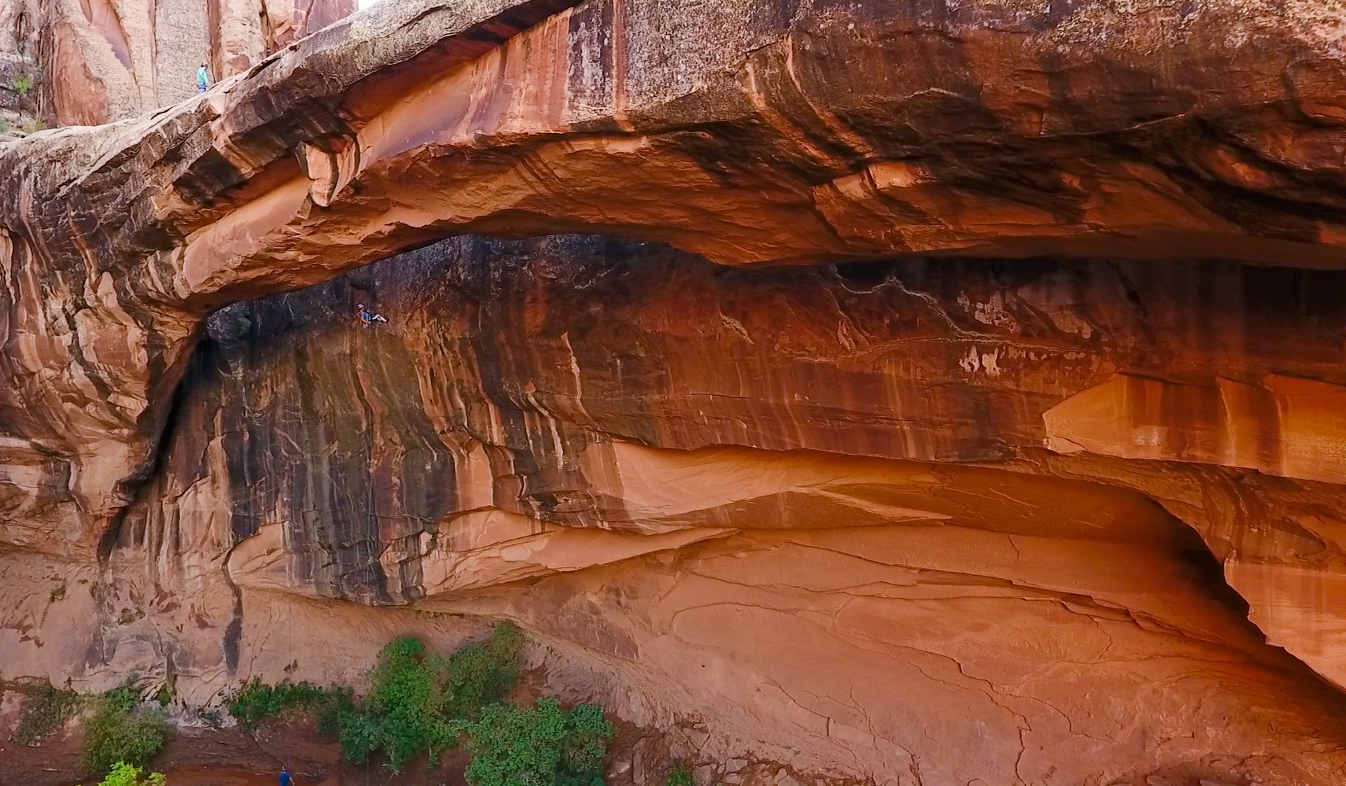 Red rock canyon with layered sandstone, a small overhang, and some green plants.
