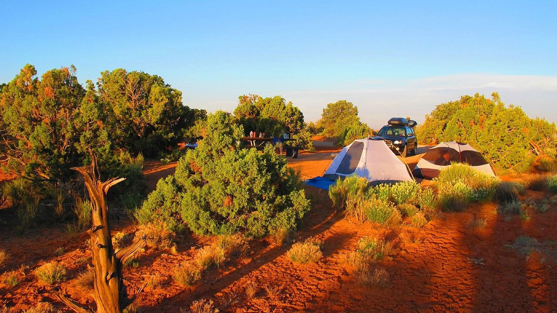 Camping scene with tents and vehicle in a desert landscape with orange earth and green bushes.