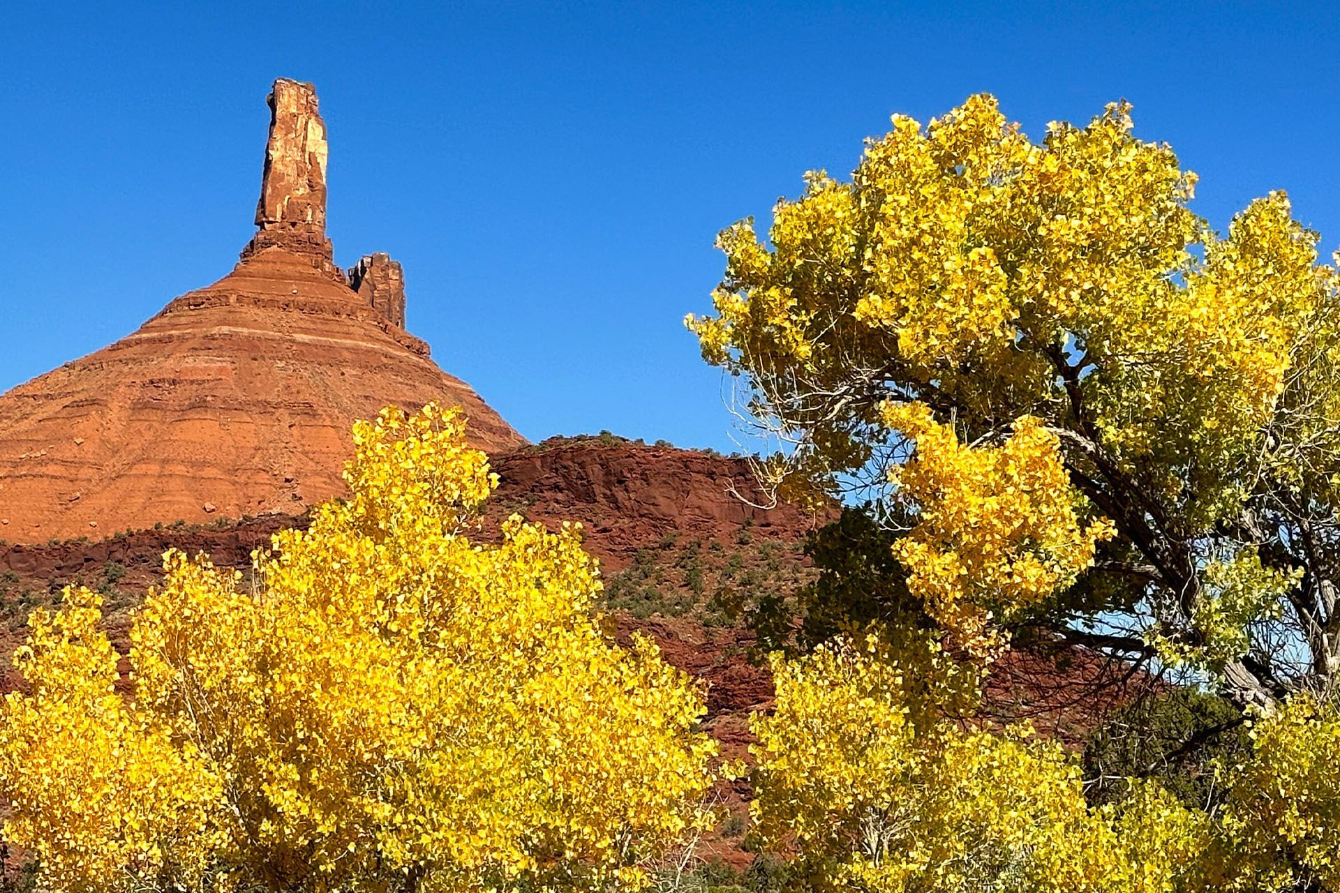 Red rock formation and vibrant yellow foliage under a clear blue sky.