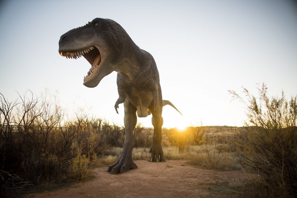 Tyrannosaurus Rex roaring, open mouth, standing on path, sunset background.