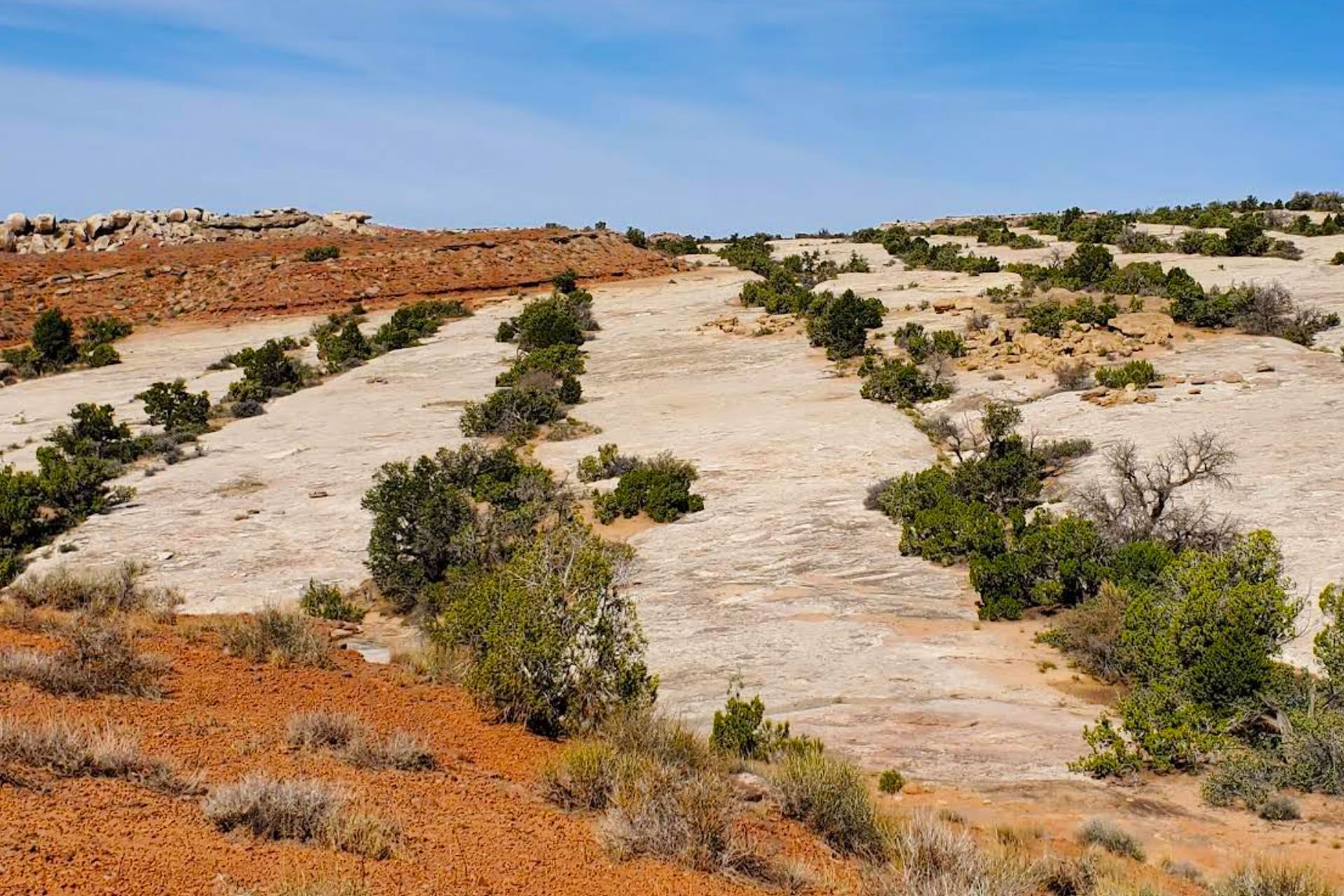 Light colored sandstone stretches into the horizon, showing the Klondike Bluffs jeep trail area.