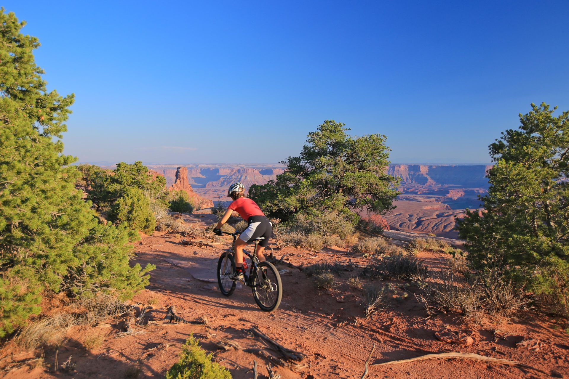 Mountain biker rides along the Intrepid Trail System at Dead Horse Point.