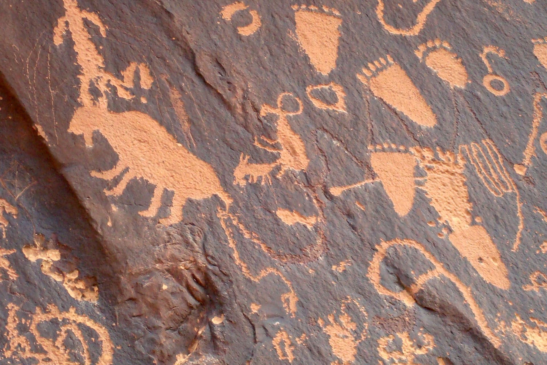 Petroglyphs on dark rock, including animal figures, human-like figures, and footprints.