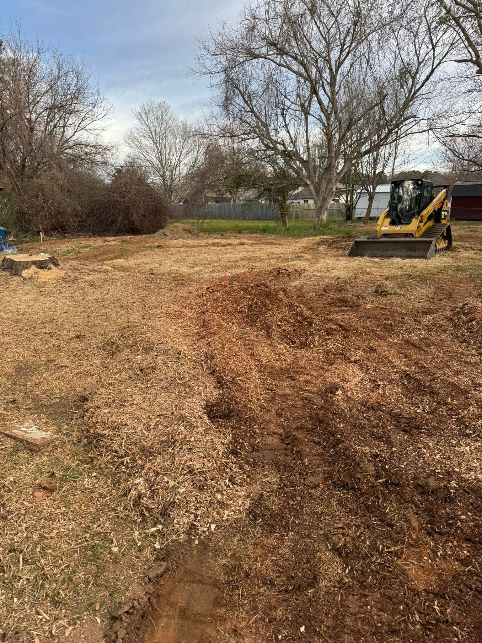 Wooded clearing with a small excavator on the right and a dirt path in the foreground