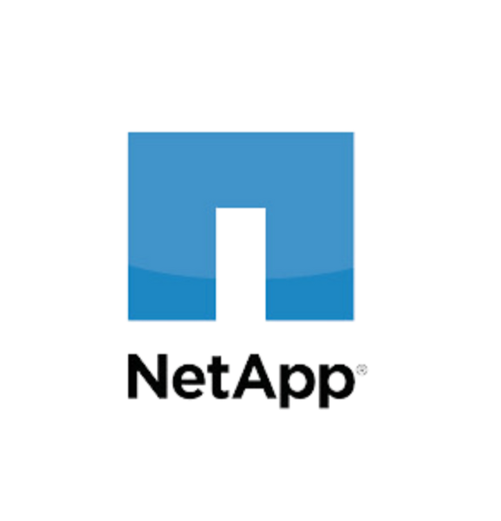 Net App Registered Partner of HBG Technologies LTD, A Nigeria Based IT Consultancy & Solutions Firm, over 40 year combined experience, Certified Solutions Architect, Scrum Master, AI Certified, Partner with HBG Technologies, Michael O. Olamide, Enny Praise