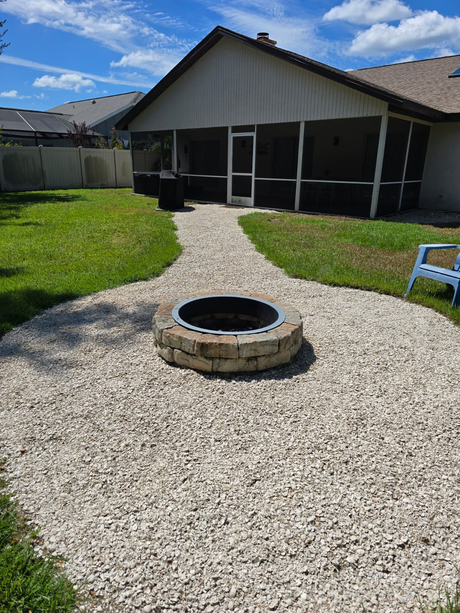 a close up of a mushroom growing on a tree trunk .