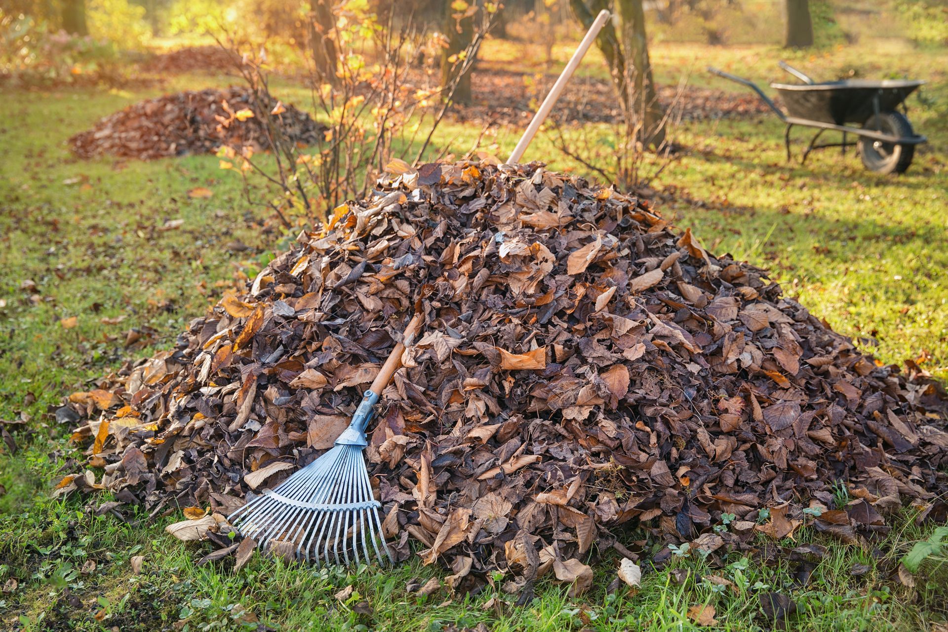 a rake is sitting on top of a pile of leaves