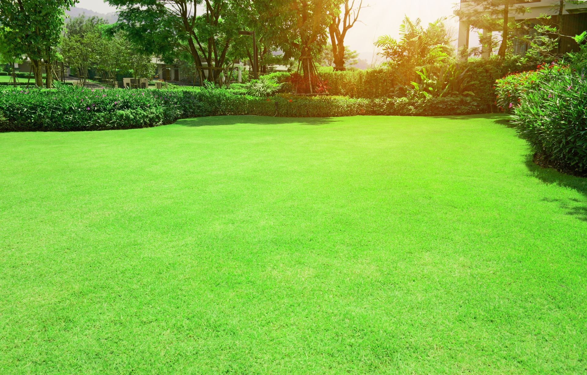 a lush green lawn in a park with trees and bushes