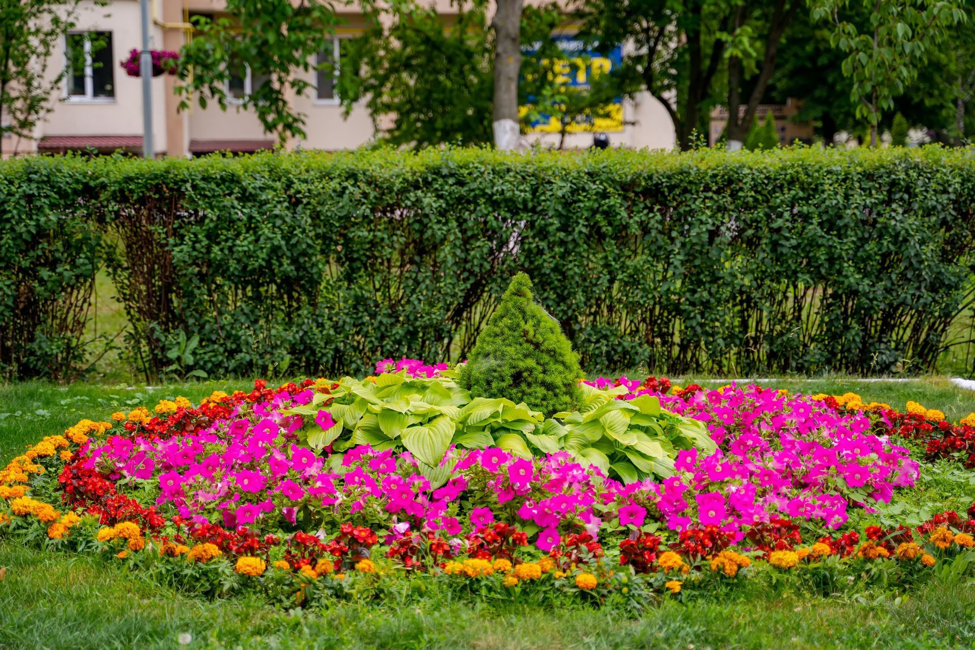 a garden filled with lots of colorful flowers and a small tree in the middle .