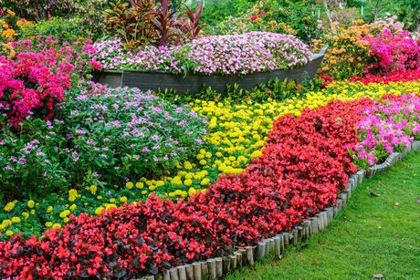 a garden filled with lots of colorful flowers and plants .