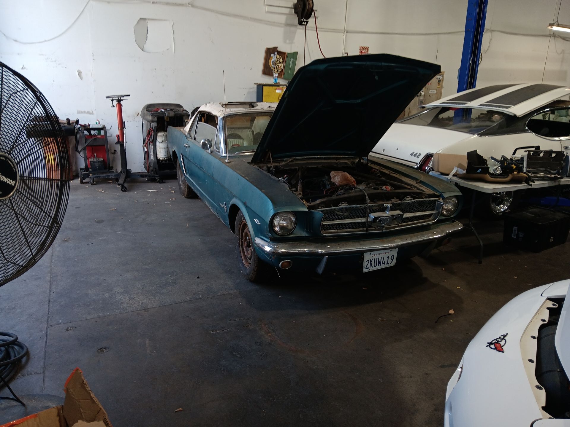 A teal classic Mustang with an open hood in a garage, another car in the background. | Hal's Auto Care