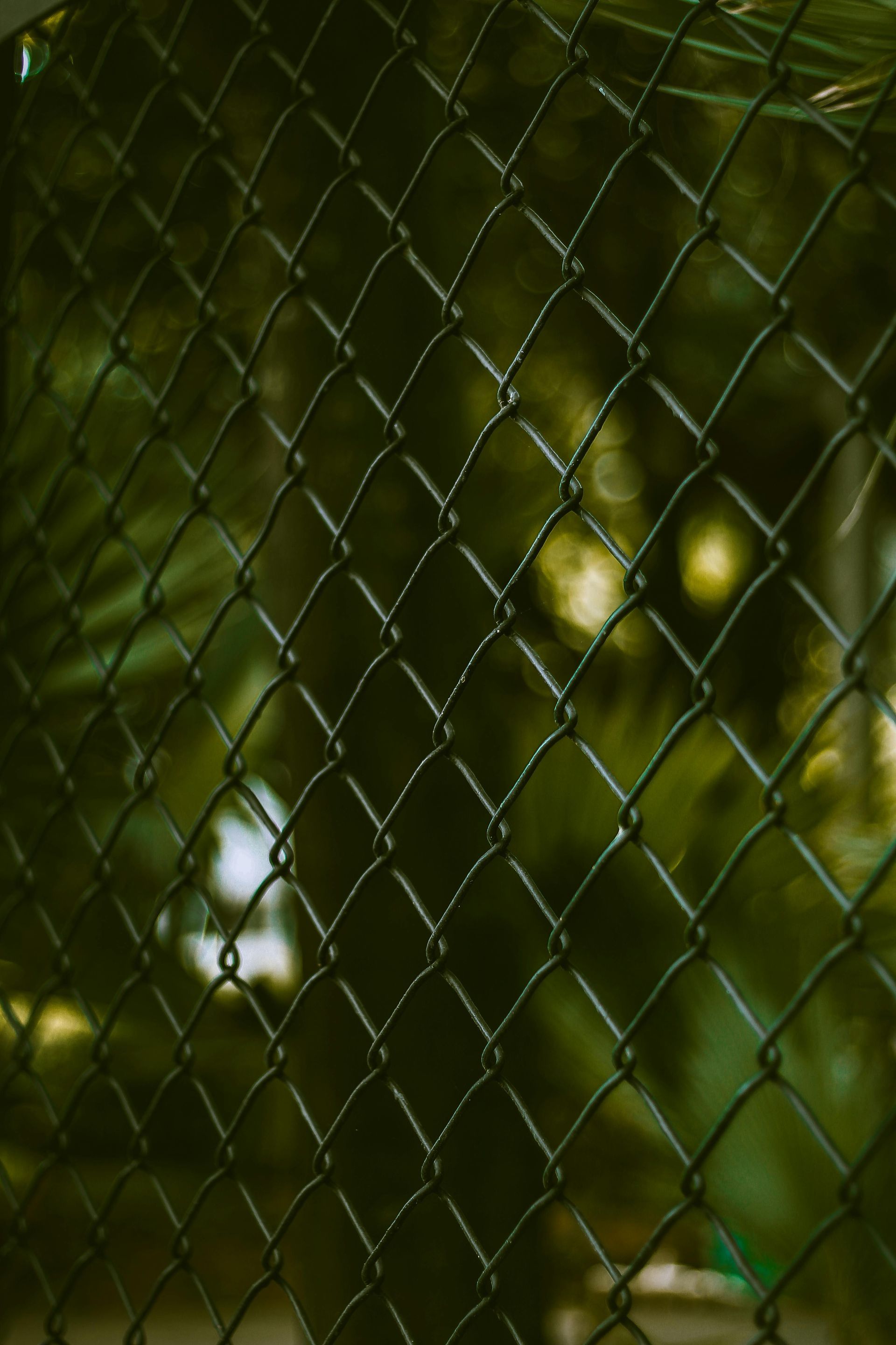 A close up of a chain link fence with trees in the background.