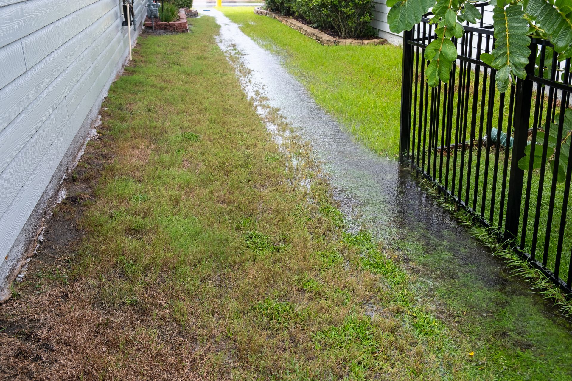 Rainwater flows across a lawn, next to a house and black fence, creating a channel of water.
