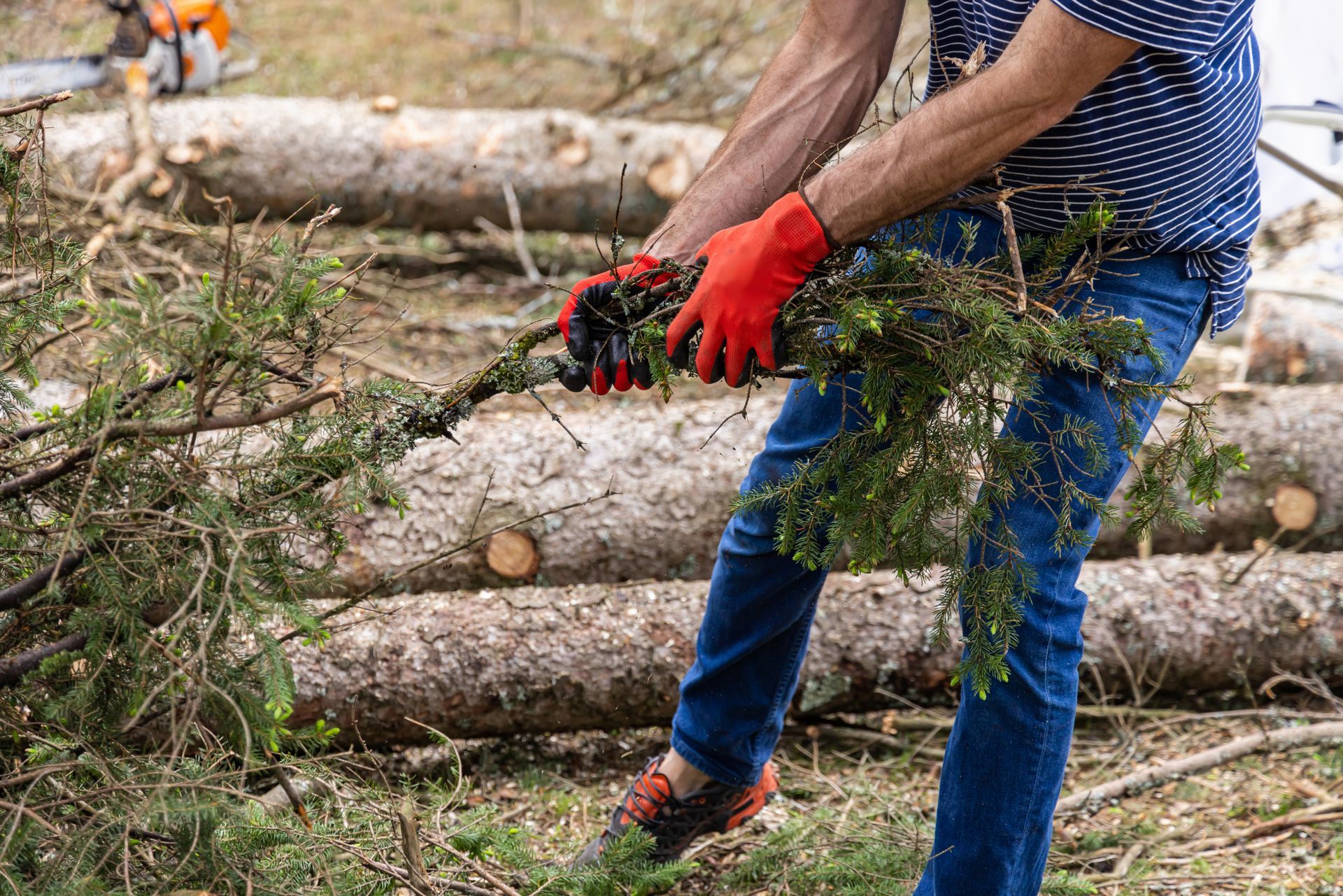 Person wearing red gloves and blue jeans is removing branches from a log pile.