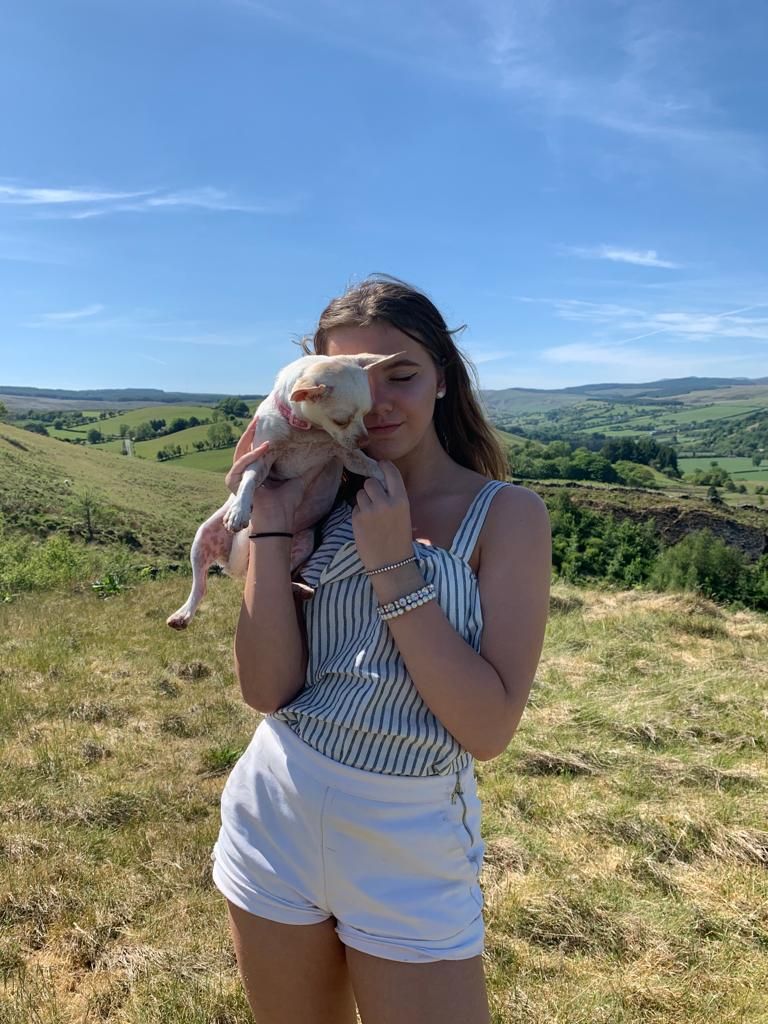 A woman is holding a small dog in her arms in a field.