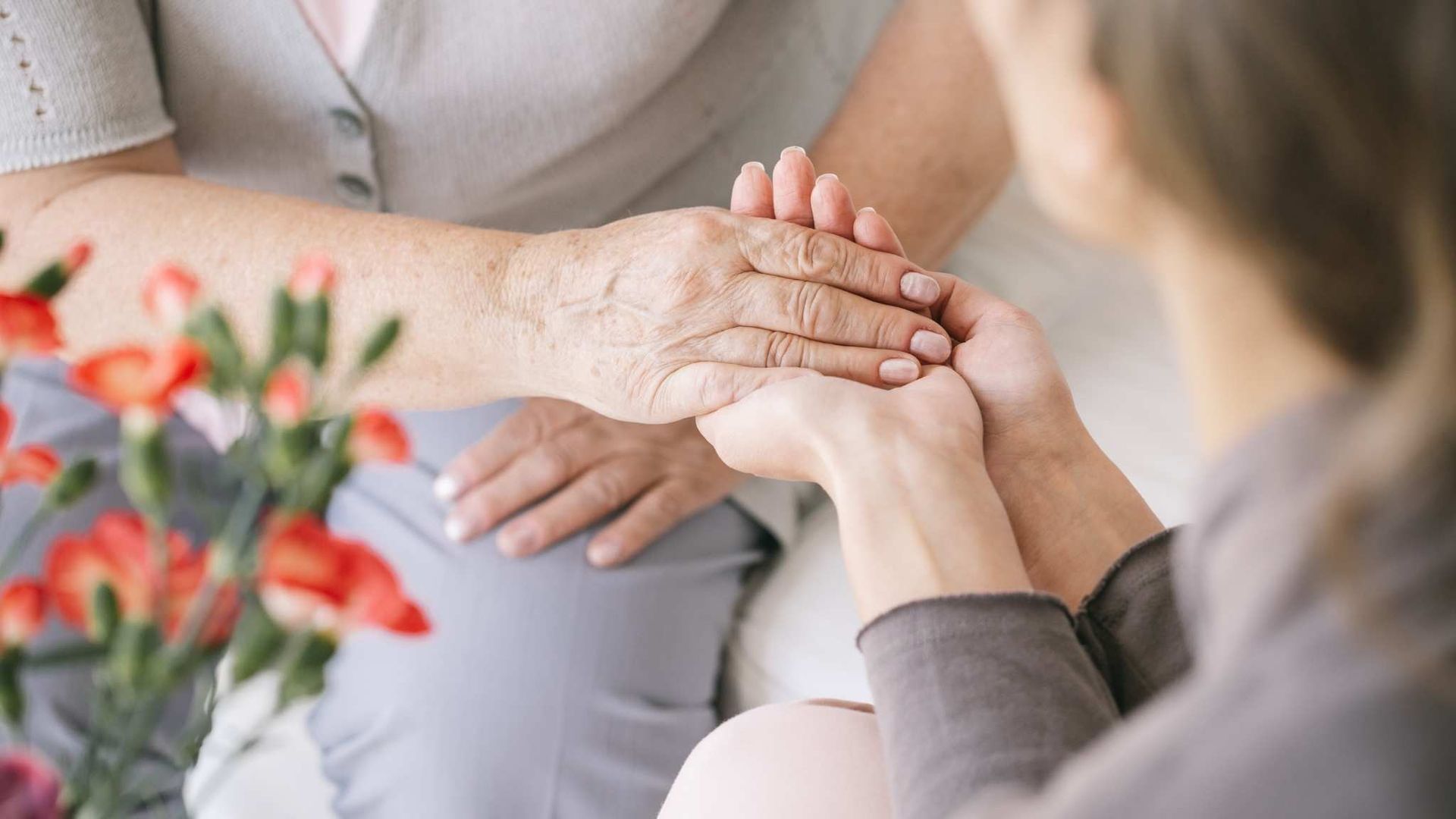 Hospice visual data 7