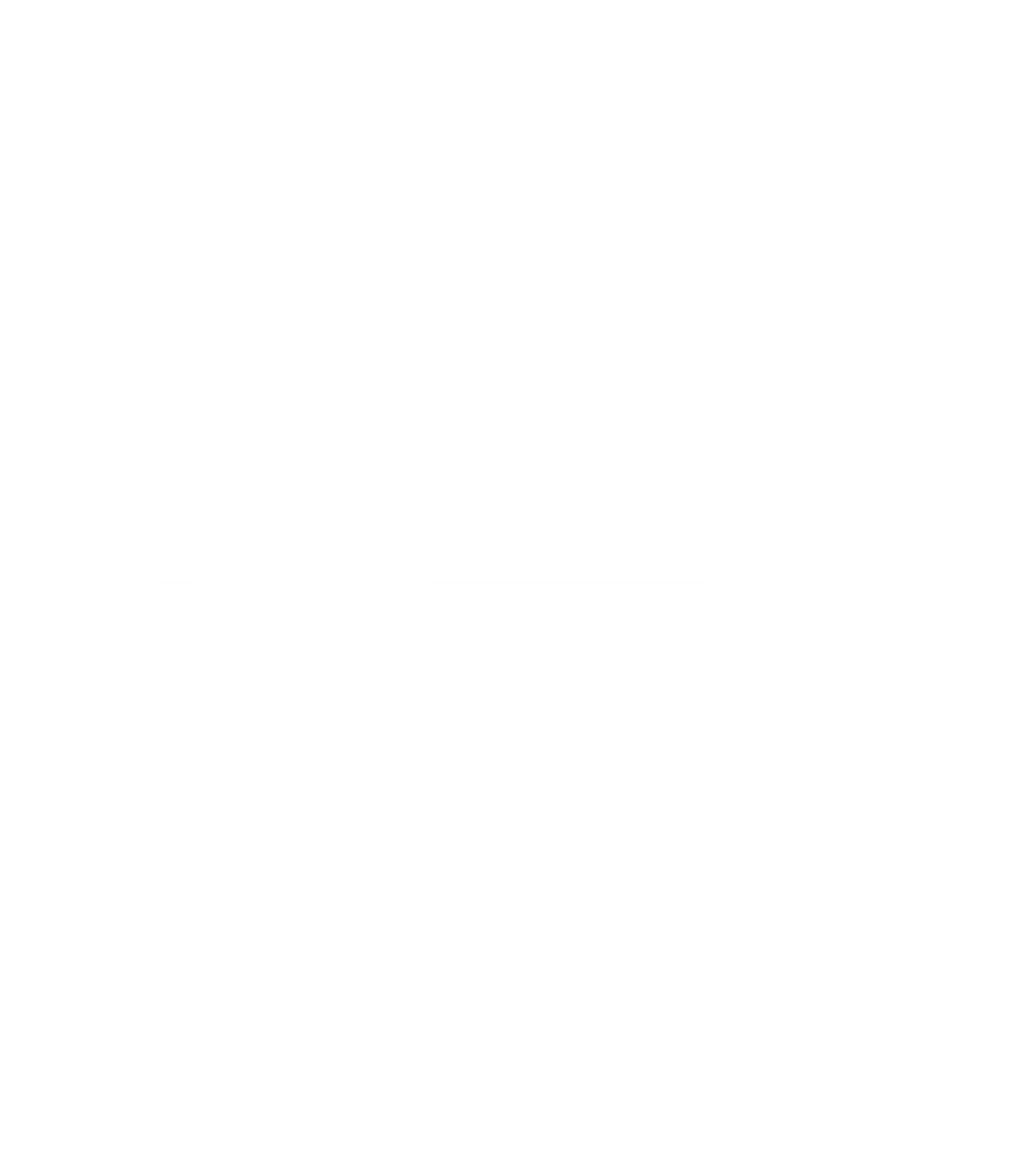 virtual queue system.