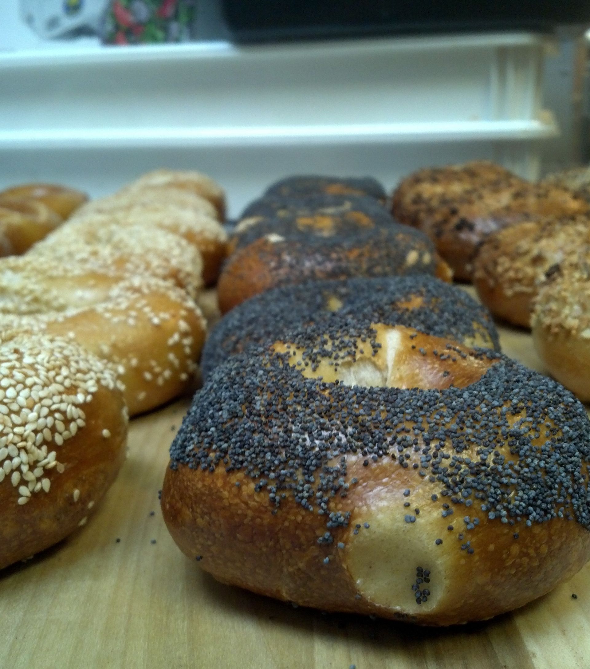 BAGELTOPIA Assorted Bagels