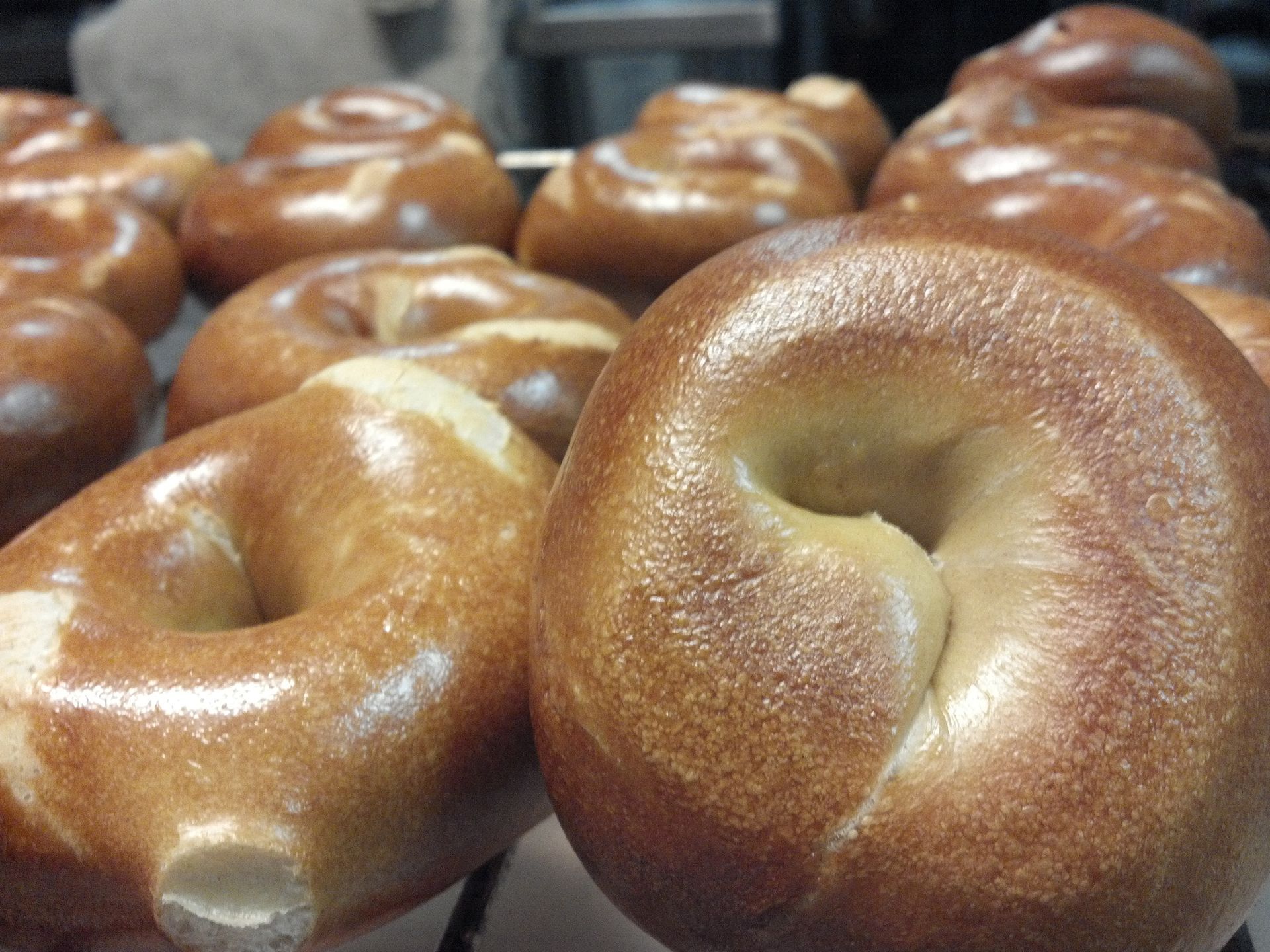 BAGELTOPIA Plain Bagels