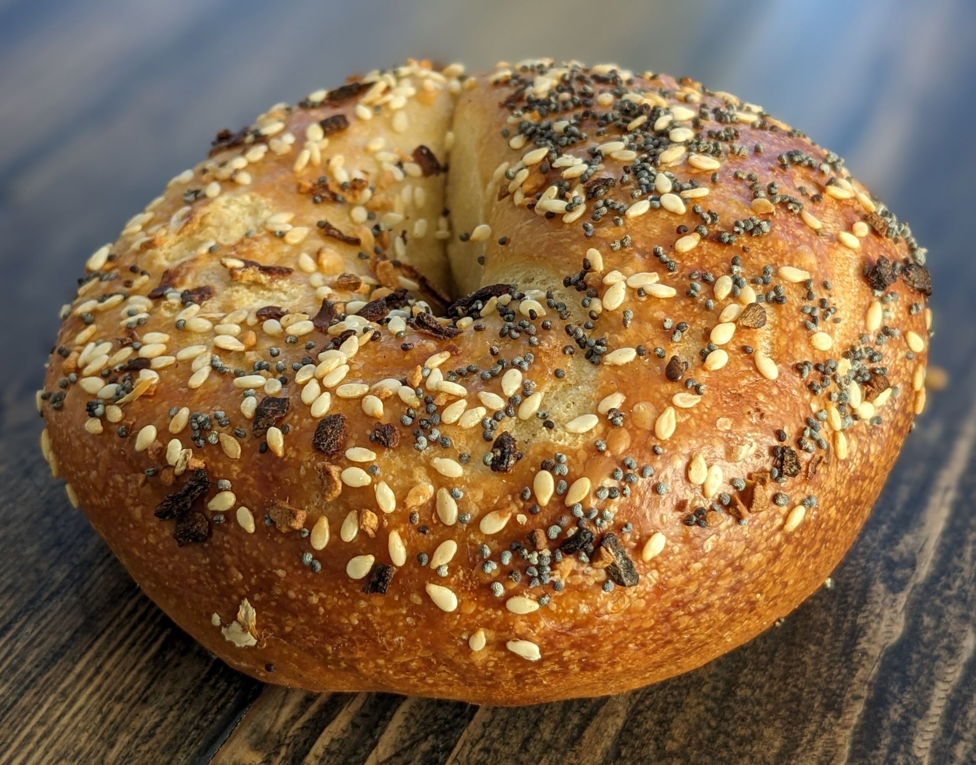 BAGELTOPIA Everything Bagel