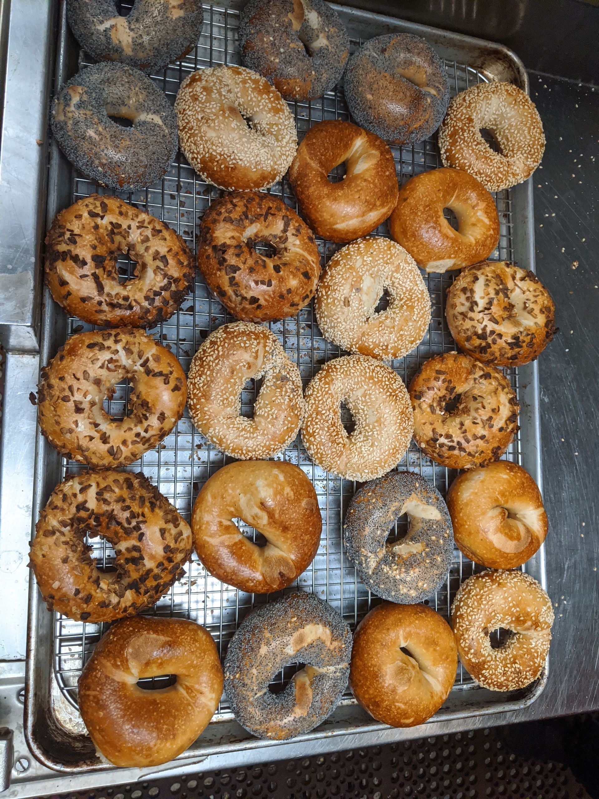 BAGELTOPIA Assorted Bagels