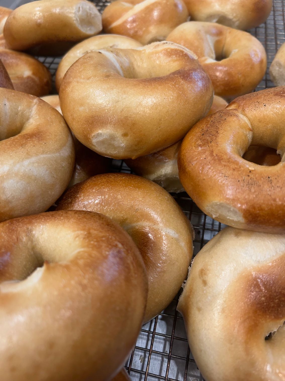 BAGELTOPIA Plain Bagels