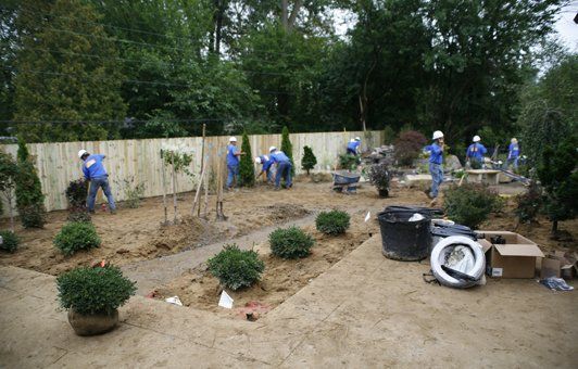 A group of people are working in a garden.
