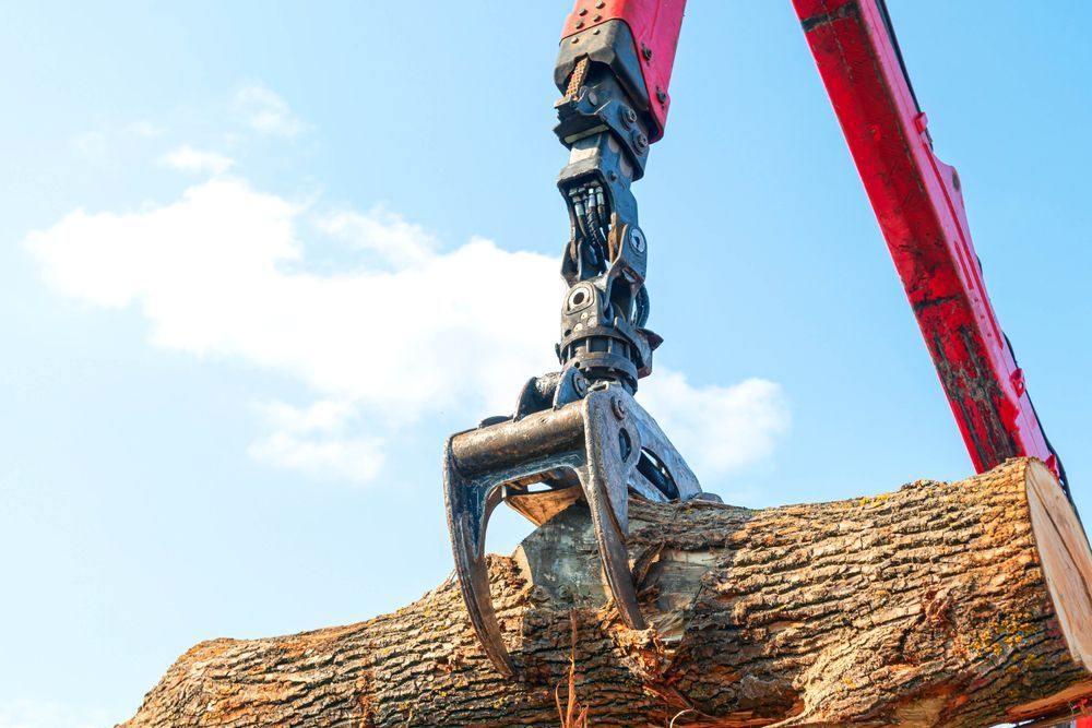 Red industrial claw holding a large log, against a blue sky with clouds.