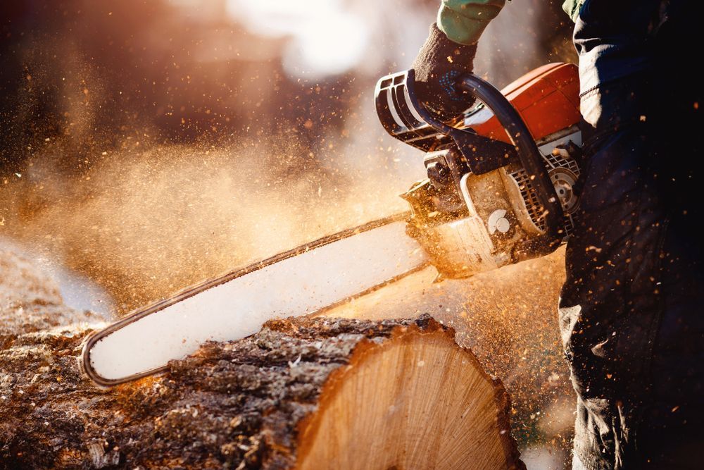 Person using a chainsaw to cut a log, wood chips flying.